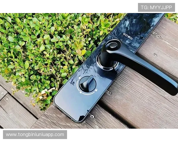 如何选择优质的真人游戏现场确保安全与娱乐双重保障用户体验提升